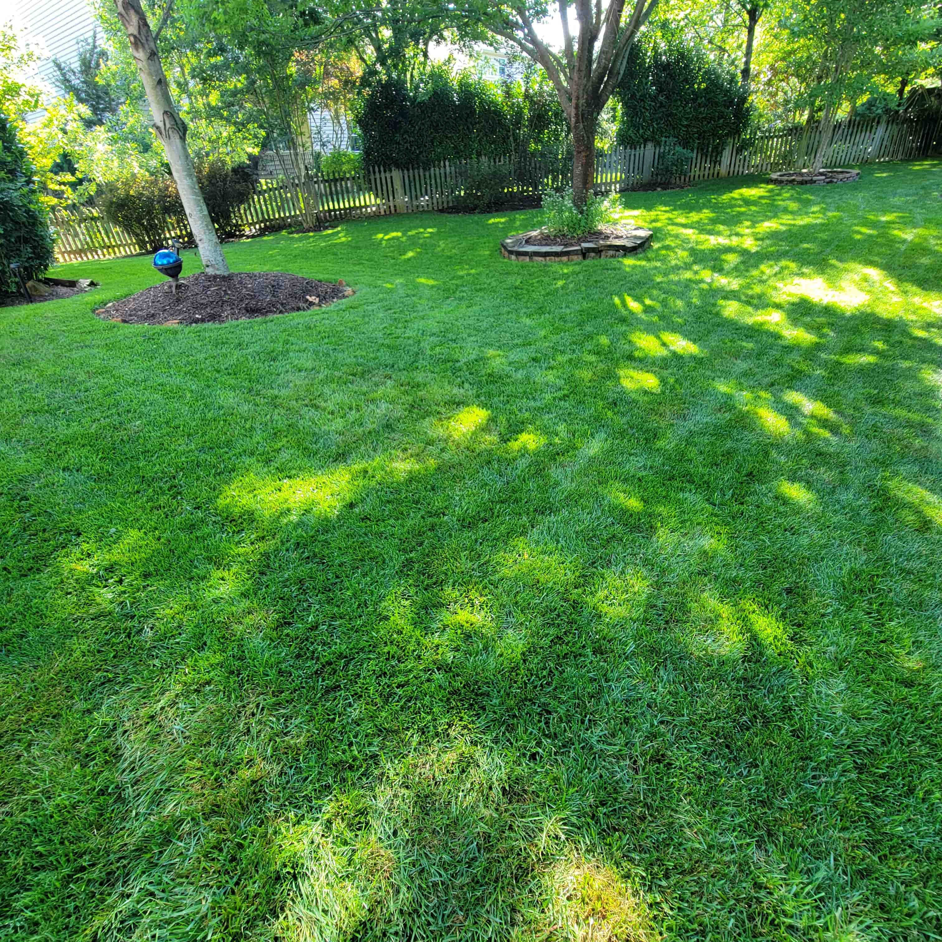 A complete program keeps your lawn healthy and green from spring through fall