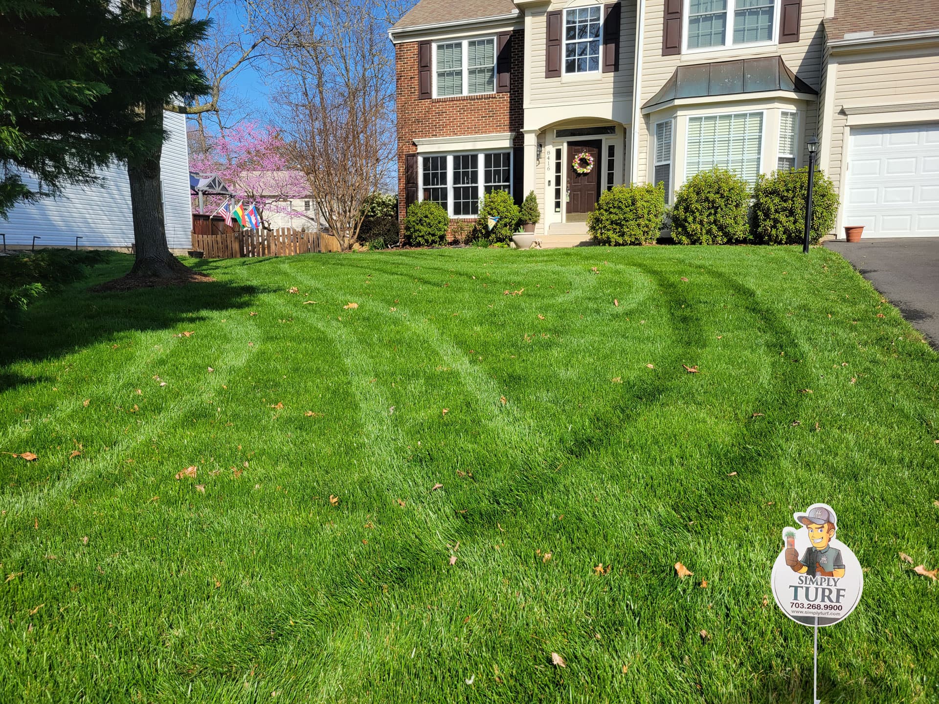 Front yard serviced by Simply Turf