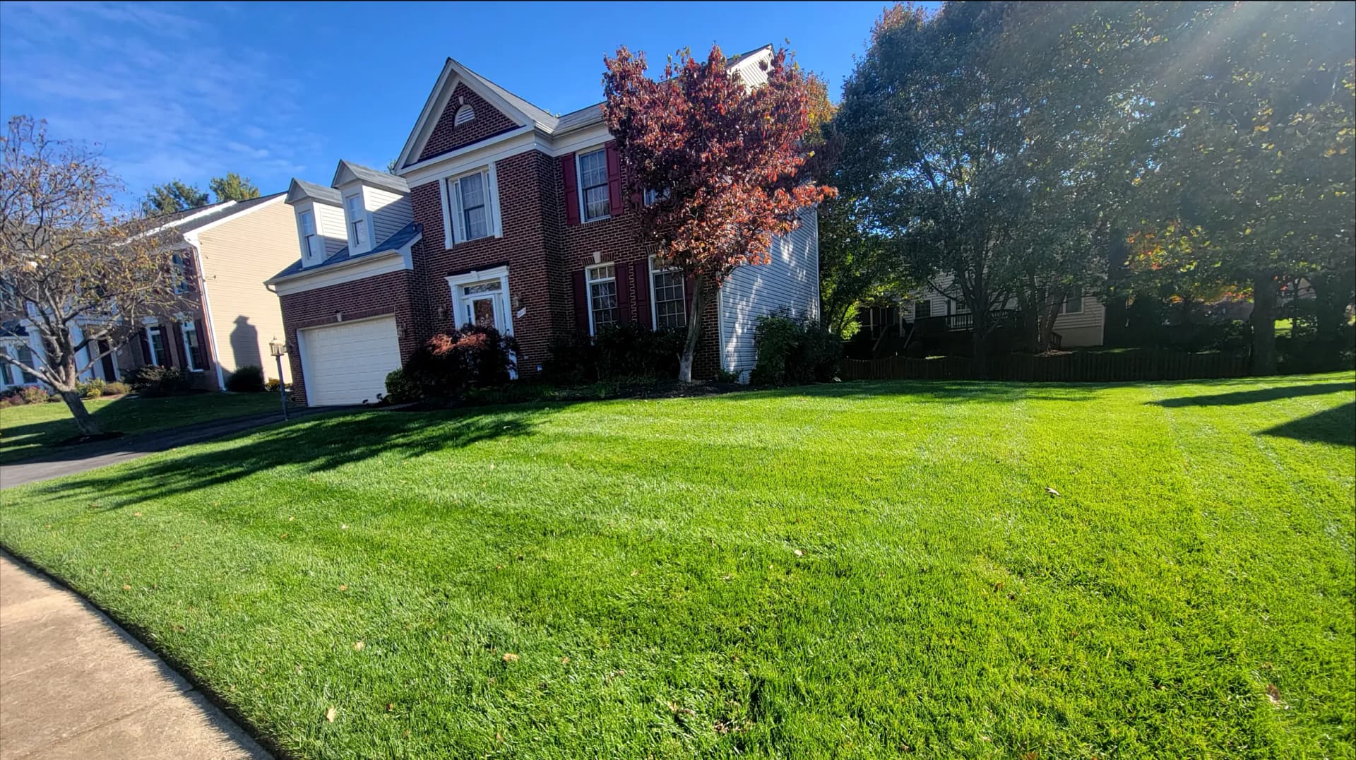 Thick, green turf after fertilization