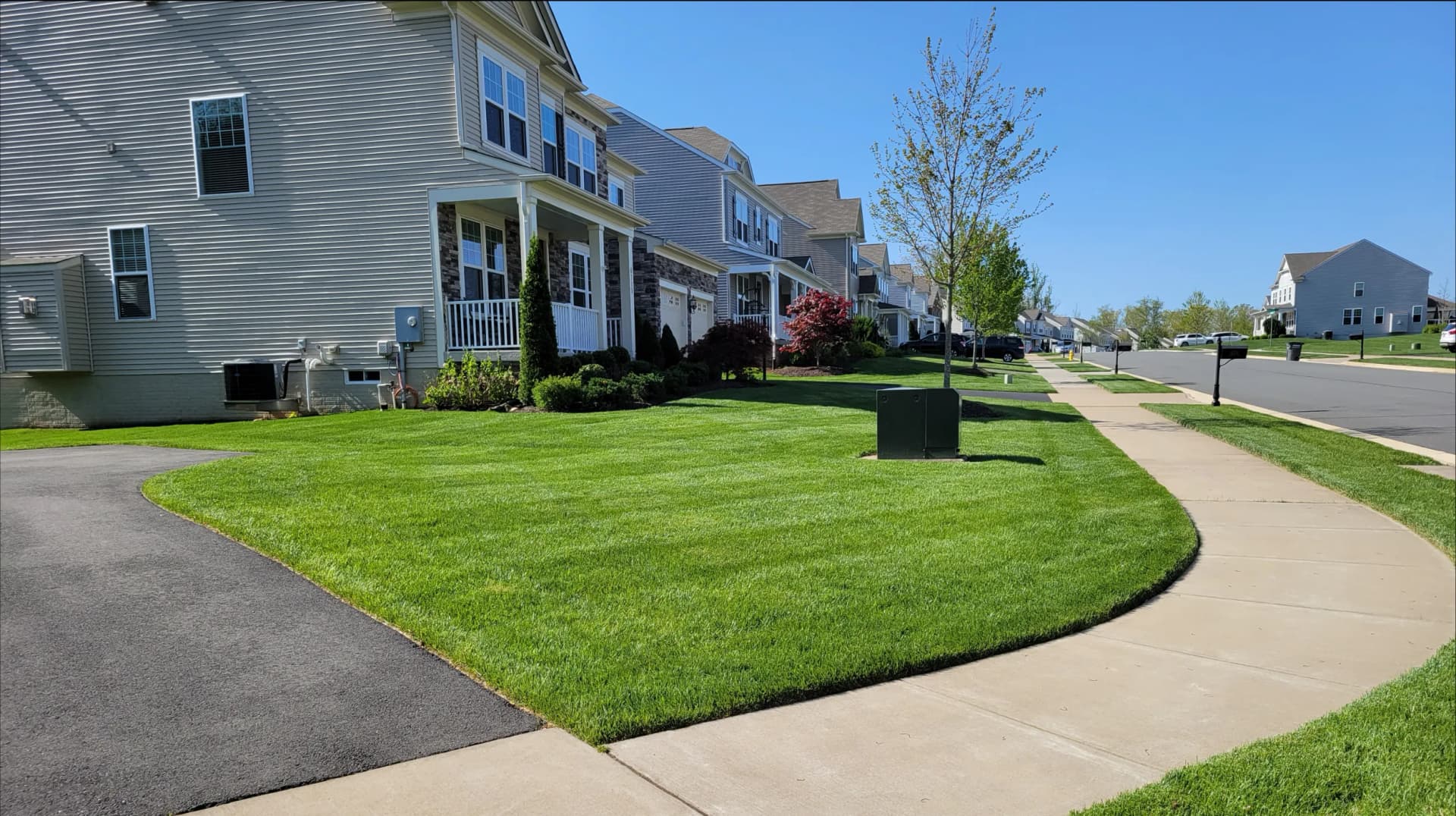 Consistent, professional care keeps whole neighborhoods looking their best