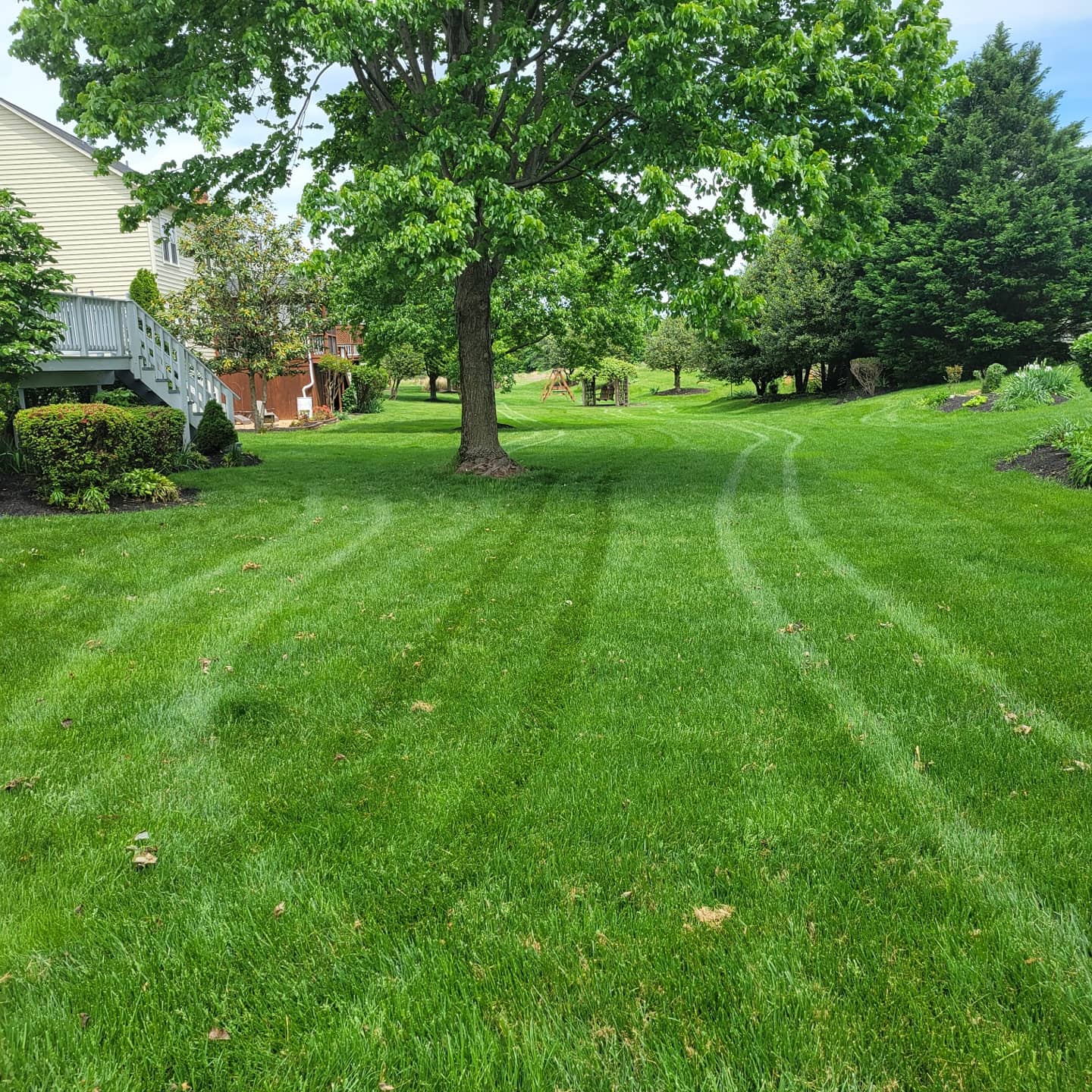 A lush spring lawn maintained by Simply Turf in Northern Virginia