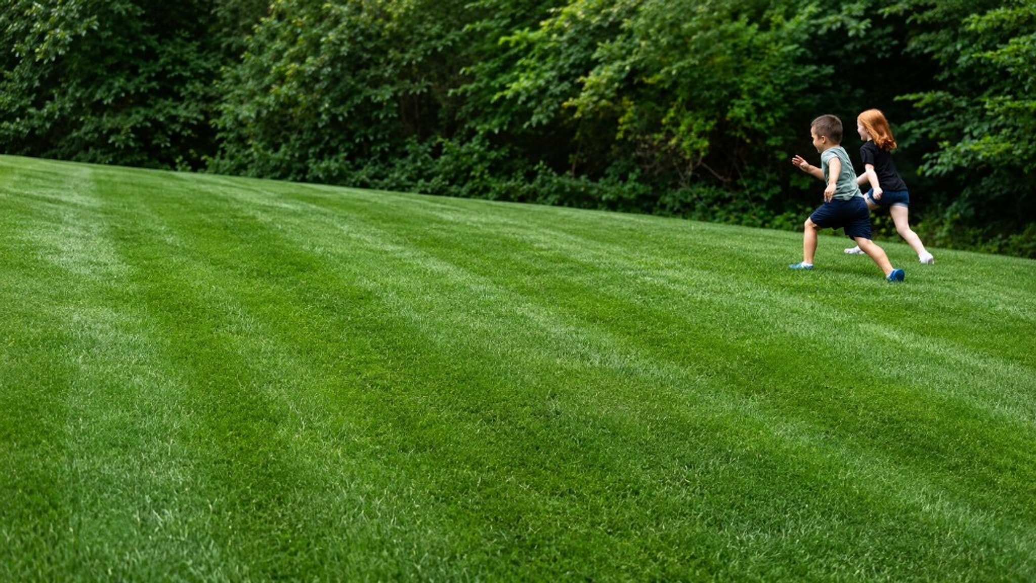 Two kids playing on a lush, freshly striped Northern Virginia lawn maintained by Simply Turf