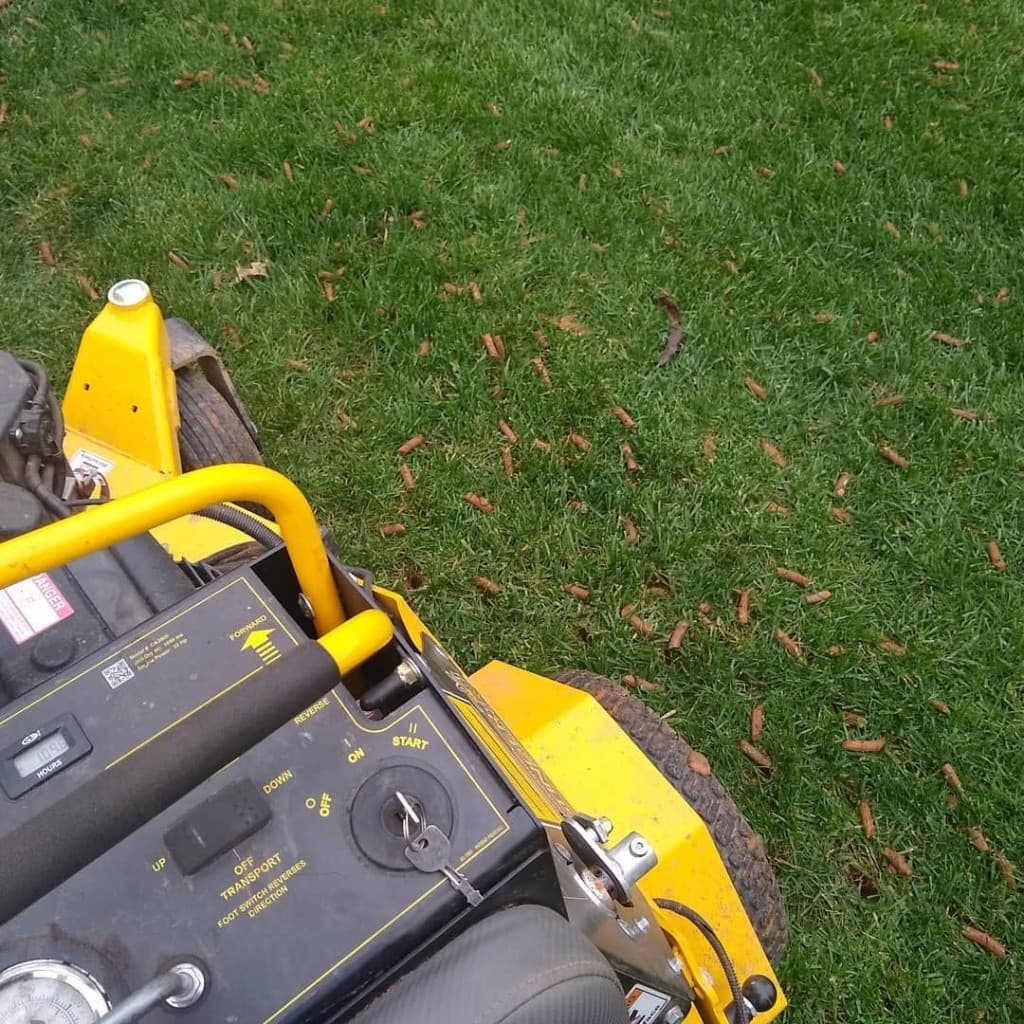 View from a yellow Stinger stand-on aerator across a lawn covered in freshly pulled soil plugs