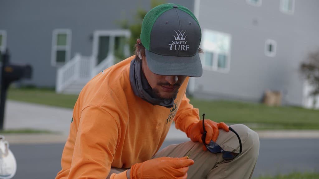 A Simply Turf turfgrass professional kneeling to inspect a Northern Virginia lawn up close