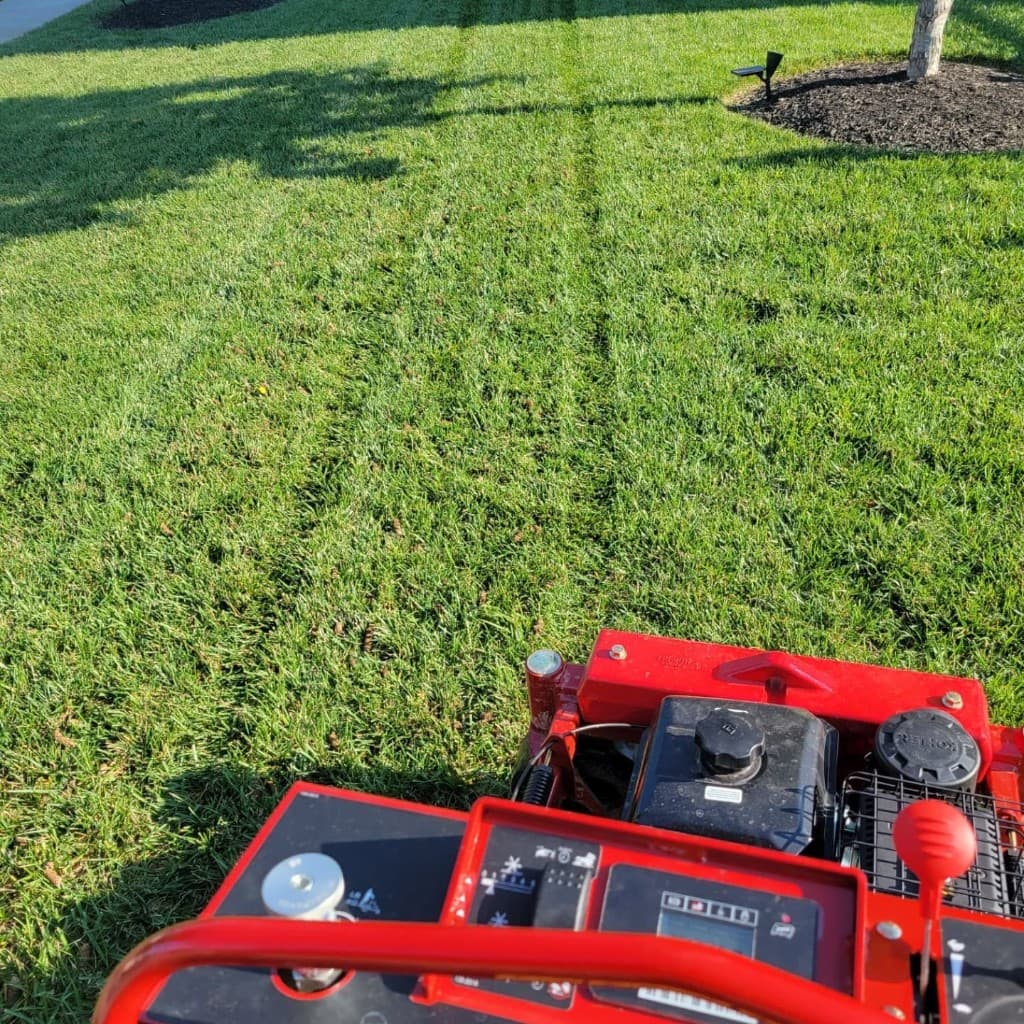 View from the controls of a red Toro stand-on aerator looking down aeration lines across a sunny front lawn